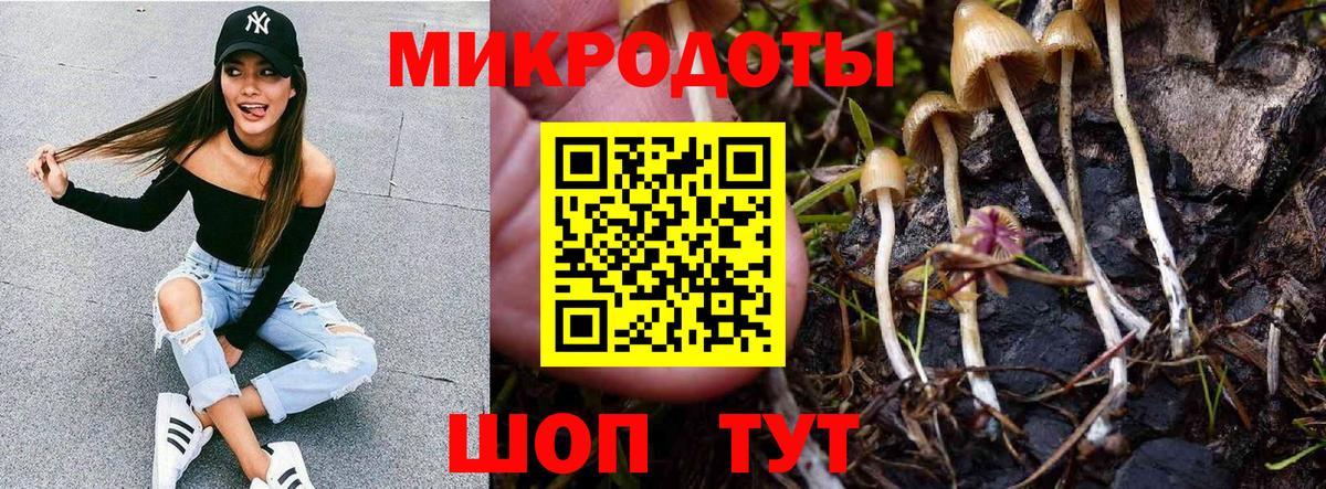 Богородск  Псилоцибиновые грибы Cubensis  купить  сайты  Вход с VPN 